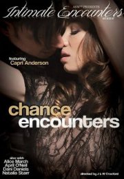 Chance Encounters Erotik Film İzle